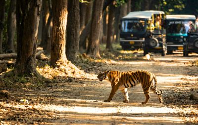 Nainital Jim Corbett Tour Package From Dehradun 4 Days