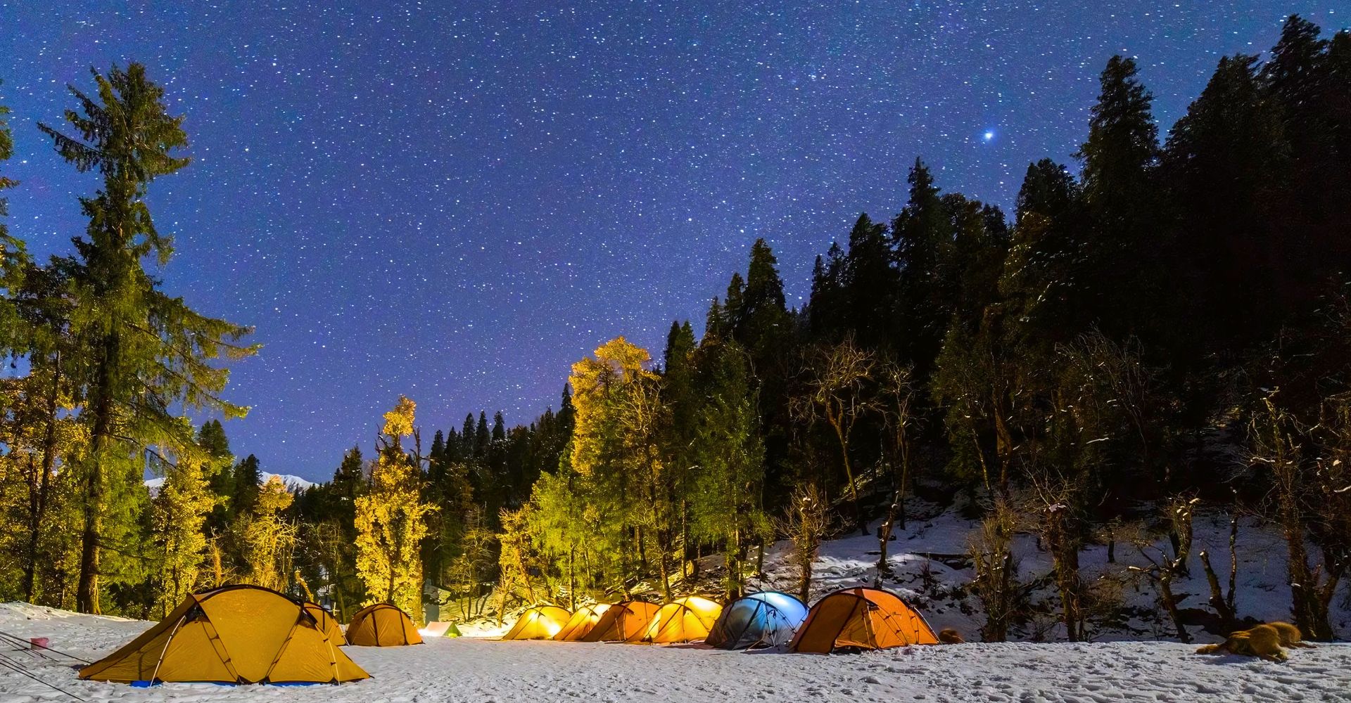 Kedarkantha Winter Hike is its journey through untouched forest paths